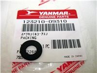 Yanmar 123210-09310 Anode Seal