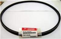 Yanmar 25132-004500 Alternator & Water Pump Belt