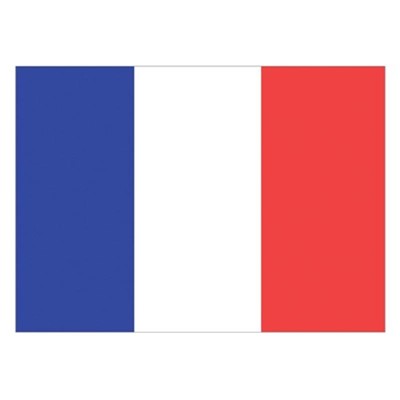 Flag of France 30 x 45cm. 6-86232