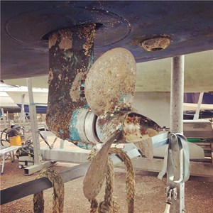 Mooring Line Wrapped Around A Yanmar SD25 Saildrive