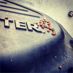 Mercury 90 hours Optimax On A Quicksilver 580 Horror Story