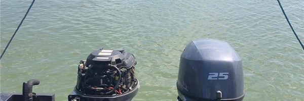 A Fuel Pump Issue With A Yamaha FT25FET