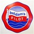 Beldham Pilot