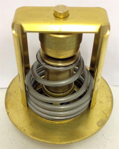 Bukh 008E6587 Thermostat