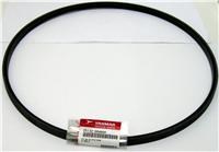 Yanmar 25132-004600 Alternator & Water Pump Belt